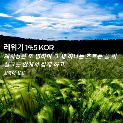 Picture 02 - 레위기 14:5 KOR - 제사장은 또 명하여 그 새 하나는 - Bible Verse Picture