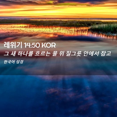 Picture 02 - 레위기 14:50 KOR - 그 새 하나를 흐르는 물 위 질그릇 - Bible Verse Picture