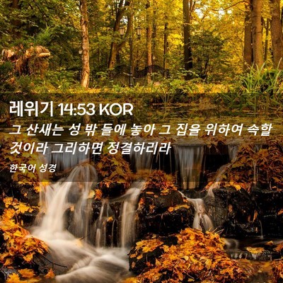 Picture 02 - 레위기 14:53 KOR - 그 산새는 성 밖 들에 놓아 그 집을 - Bible Verse Picture
