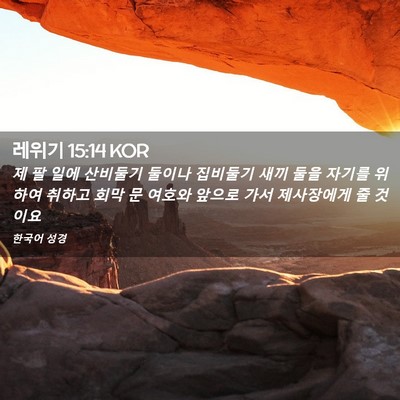 Picture 02 - 레위기 15:14 KOR - 제 팔 일에 산비둘기 둘이나 - Bible Verse Picture