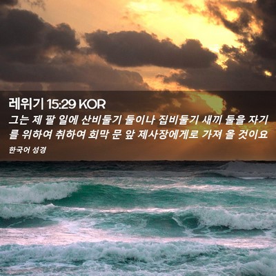 Picture 02 - 레위기 15:29 KOR - 그는 제 팔 일에 산비둘기 둘이나 - Bible Verse Picture