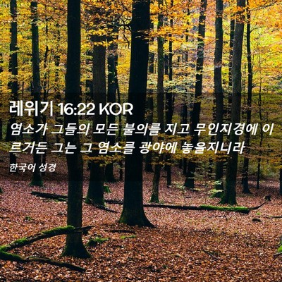 Picture 02 - 레위기 16:22 KOR - 염소가 그들의 모든 불의를 지고 - Bible Verse Picture