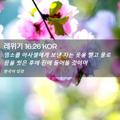 Picture 02 - 레위기 16:26 KOR - 염소를 아사셀에게 보낸 자는 옷을 - Bible Verse Picture
