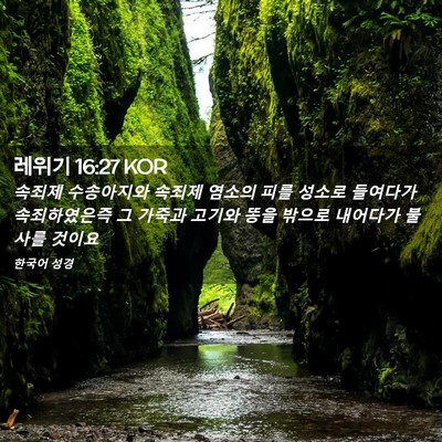 Picture 02 - 레위기 16:27 KOR - 속죄제 수송아지와 속죄제 염소의 - Bible Verse Picture