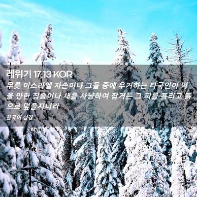 Picture 02 - 레위기 17:13 KOR - 무릇 이스라엘 자손이나 그들 중에 - Bible Verse Picture