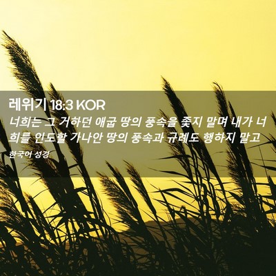 Picture 02 - 레위기 18:3 KOR - 너희는 그 거하던 애굽 땅의 풍속을 - Bible Verse Picture