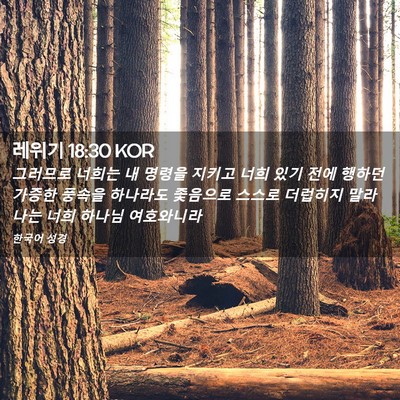 Picture 02 - 레위기 18:30 KOR - 그러므로 너희는 내 명령을 지키고 - Bible Verse Picture