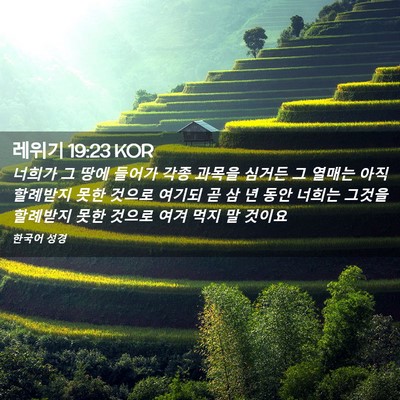Picture 02 - 레위기 19:23 KOR - 너희가 그 땅에 들어가 각종 과목을 - Bible Verse Picture