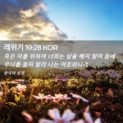 Picture 02 - 레위기 19:28 KOR - 죽은 자를 위하여 너희는 살을 베지 - Bible Verse Picture