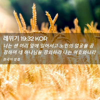 Picture 02 - 레위기 19:32 KOR - 너는 센 머리 앞에 일어서고 노인의 - Bible Verse Picture