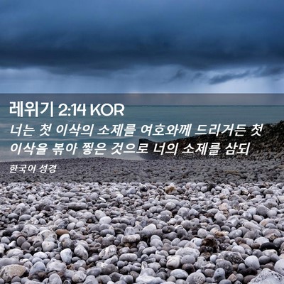 Picture 02 - 레위기 2:14 KOR - 너는 첫 이삭의 소제를 여호와께 - Bible Verse Picture