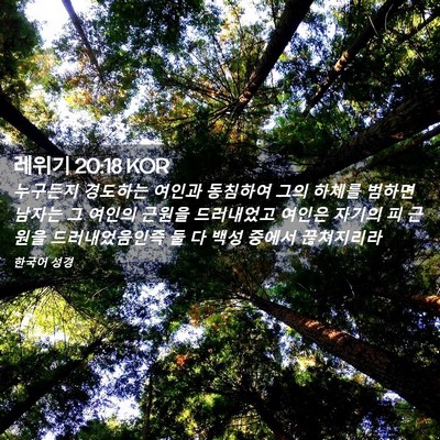 Picture 02 - 레위기 20:18 KOR - 누구든지 경도하는 여인과 동침하여 - Bible Verse Picture