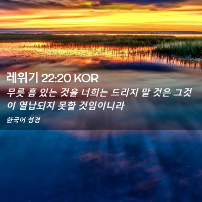 Picture 02 - 레위기 22:20 KOR - 무릇 흠 있는 것을 너희는 드리지 말 - Bible Verse Picture