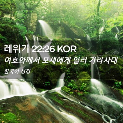 Picture 02 - 레위기 22:26 KOR - 여호와께서 모세에게 일러 - Bible Verse Picture