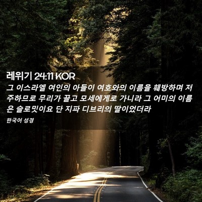 Picture 02 - 레위기 24:11 KOR - 그 이스라엘 여인의 아들이 여호와의 - Bible Verse Picture