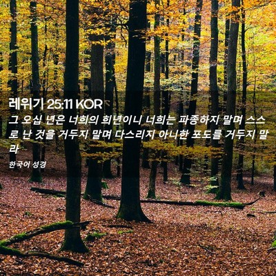 Picture 02 - 레위기 25:11 KOR - 그 오십 년은 너희의 희년이니 - Bible Verse Picture