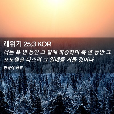 Picture 02 - 레위기 25:3 KOR - 너는 육 년 동안 그 밭에 파종하며 육 - Bible Verse Picture