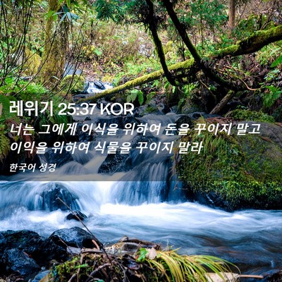 Picture 02 - 레위기 25:37 KOR - 너는 그에게 이식을 위하여 돈을 - Bible Verse Picture