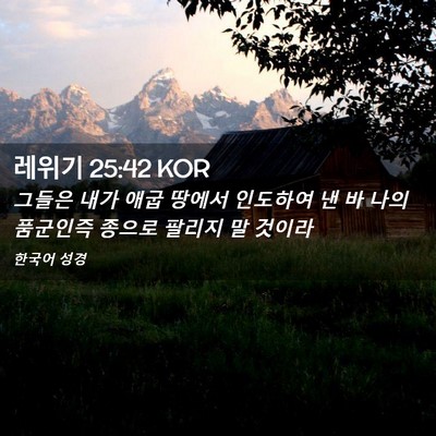 Picture 02 - 레위기 25:42 KOR - 그들은 내가 애굽 땅에서 인도하여 - Bible Verse Picture