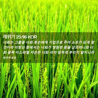 Picture 02 - 레위기 25:46 KOR - 너희는 그들을 너희 후손에게 - Bible Verse Picture