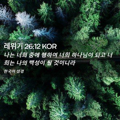 Picture 02 - 레위기 26:12 KOR - 나는 너희 중에 행하여 너희 - Bible Verse Picture