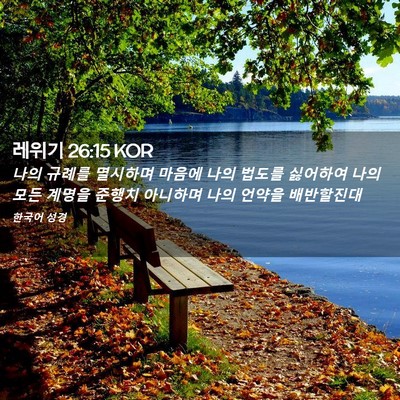 Picture 02 - 레위기 26:15 KOR - 나의 규례를 멸시하며 마음에 나의 - Bible Verse Picture