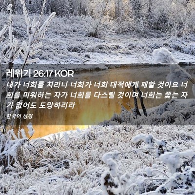 Picture 02 - 레위기 26:17 KOR - 내가 너희를 치리니 너희가 너희 - Bible Verse Picture