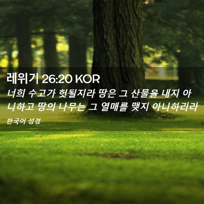 Picture 02 - 레위기 26:20 KOR - 너희 수고가 헛될지라 땅은 그 - Bible Verse Picture