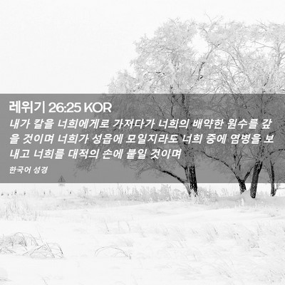 Picture 02 - 레위기 26:25 KOR - 내가 칼을 너희에게로 가져다가 - Bible Verse Picture