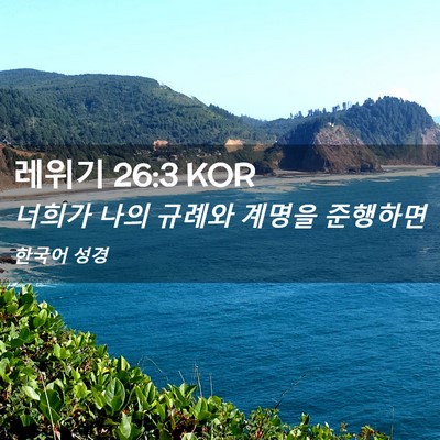 Picture 02 - 레위기 26:3 KOR - 너희가 나의 규례와 계명을 - Bible Verse Picture