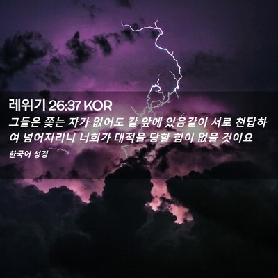 Picture 02 - 레위기 26:37 KOR - 그들은 쫓는 자가 없어도 칼 앞에 - Bible Verse Picture
