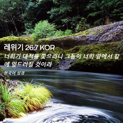 Picture 02 - 레위기 26:7 KOR - 너희가 대적을 쫓으리니 그들이 너희 - Bible Verse Picture