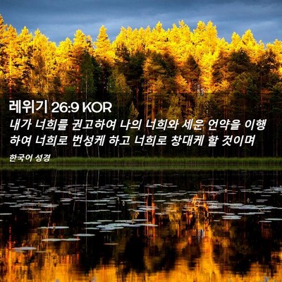 Picture 02 - 레위기 26:9 KOR - 내가 너희를 권고하여 나의 너희와 - Bible Verse Picture
