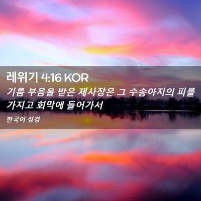 Picture 02 - 레위기 4:16 KOR - 기름 부음을 받은 제사장은 그 - Bible Verse Picture