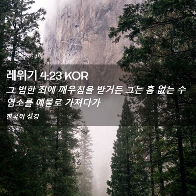 Picture 02 - 레위기 4:23 KOR - 그 범한 죄에 깨우침을 받거든 그는 - Bible Verse Picture