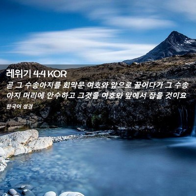 Picture 02 - 레위기 4:4 KOR - 곧 그 수송아지를 회막문 여호와 - Bible Verse Picture