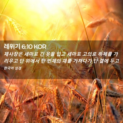 Picture 02 - 레위기 6:10 KOR - 제사장은 세마포 긴 옷을 입고 - Bible Verse Picture
