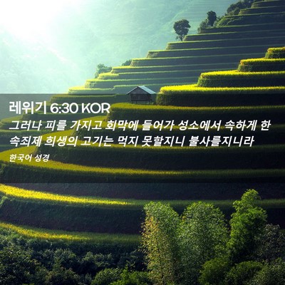 Picture 02 - 레위기 6:30 KOR - 그러나 피를 가지고 회막에 들어가 - Bible Verse Picture
