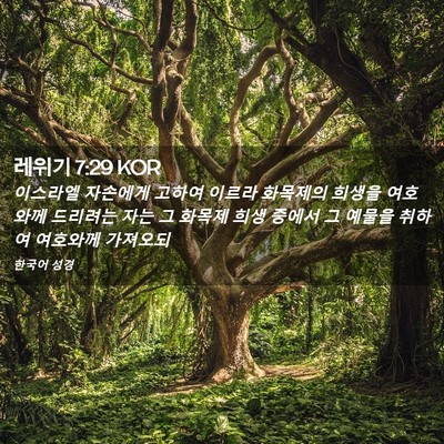 Picture 02 - 레위기 7:29 KOR - 이스라엘 자손에게 고하여 이르라 - Bible Verse Picture