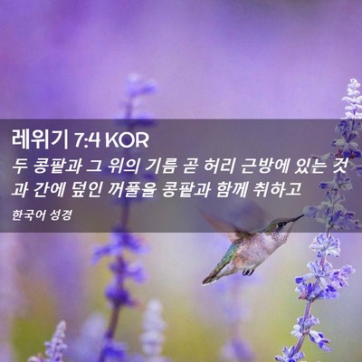 Picture 02 - 레위기 7:4 KOR - 두 콩팥과 그 위의 기름 곧 허리 - Bible Verse Picture