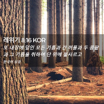 Picture 02 - 레위기 8:16 KOR - 또 내장에 덮인 모든 기름과 간 - Bible Verse Picture