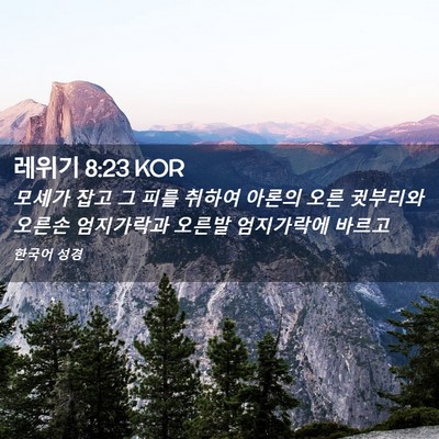 Picture 02 - 레위기 8:23 KOR - 모세가 잡고 그 피를 취하여 아론의 - Bible Verse Picture