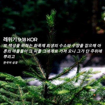 Picture 02 - 레위기 9:18 KOR - 또 백성을 위하는 화목제 희생의 - Bible Verse Picture