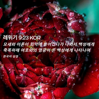 Picture 02 - 레위기 9:23 KOR - 모세와 아론이 회막에 들어갔다가 - Bible Verse Picture