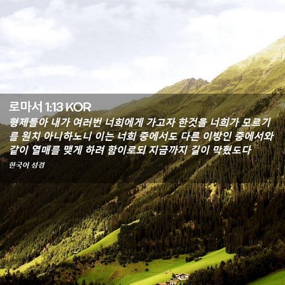 Picture 02 - 로마서 1:13 KOR - 형제들아 내가 여러번 너희에게 - Bible Verse Picture