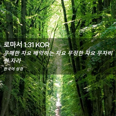 Picture 02 - 로마서 1:31 KOR - 우매한 자요 배약하는 자요 무정한 - Bible Verse Picture