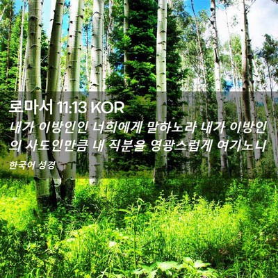 Picture 02 - 로마서 11:13 KOR - 내가 이방인인 너희에게 말하노라 - Bible Verse Picture