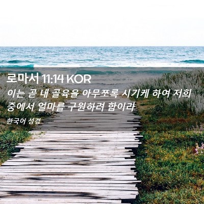 Picture 02 - 로마서 11:14 KOR - 이는 곧 내 골육을 아무쪼록 시기케 - Bible Verse Picture