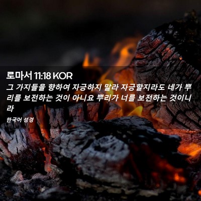 Picture 02 - 로마서 11:18 KOR - 그 가지들을 향하여 자긍하지 말라 - Bible Verse Picture