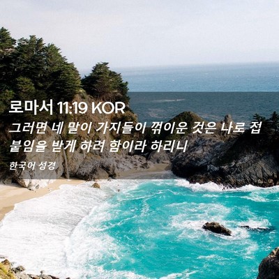 Picture 02 - 로마서 11:19 KOR - 그러면 네 말이 가지들이 꺾이운 - Bible Verse Picture